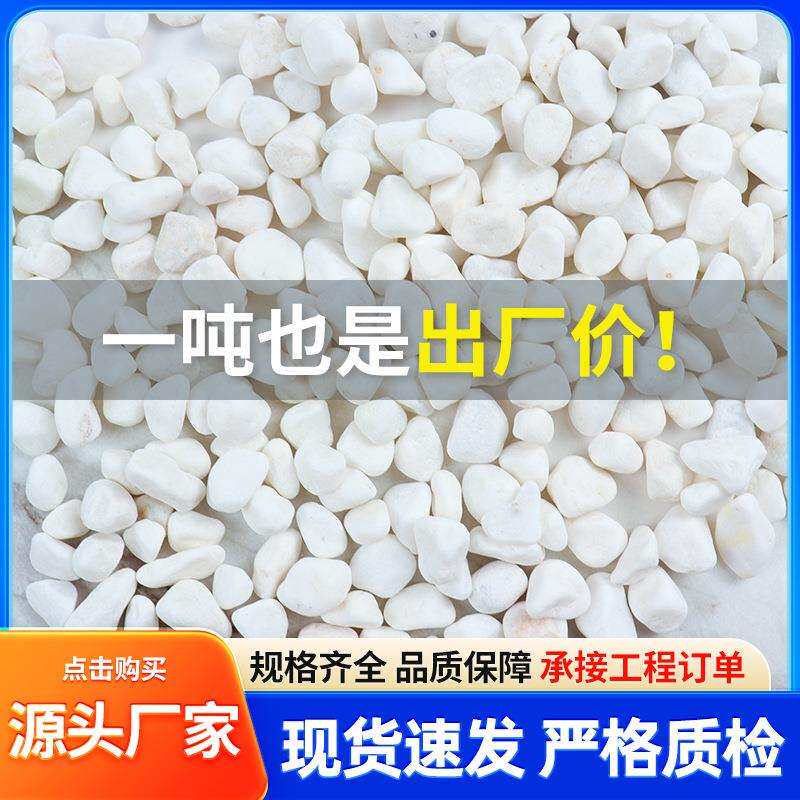 白色鹅卵石厂家园艺盆栽庭院铺路小石头碎石园林枯山水造景白石子