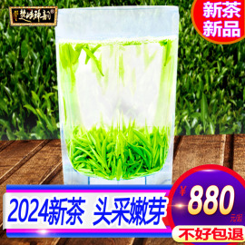 2024新茶湖北宜昌五峰芽毛尖特级春茶茶叶头采嫩芽绿茶