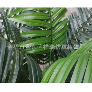 仿真植物迷你盆栽散尾葵叶树过胶棕榈科葵叶细葵叶落地盆景