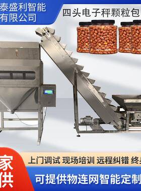 定制大袋装大米定量灌装包装机绿豆分装称重颗粒包装机可配真空
