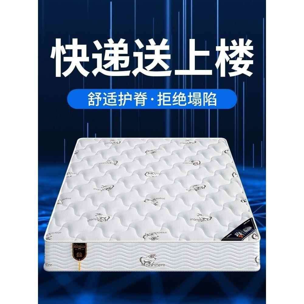 家用20cm厚弹簧床垫椰子棕榈硬垫经济型席梦思床垫软硬两用乳胶软