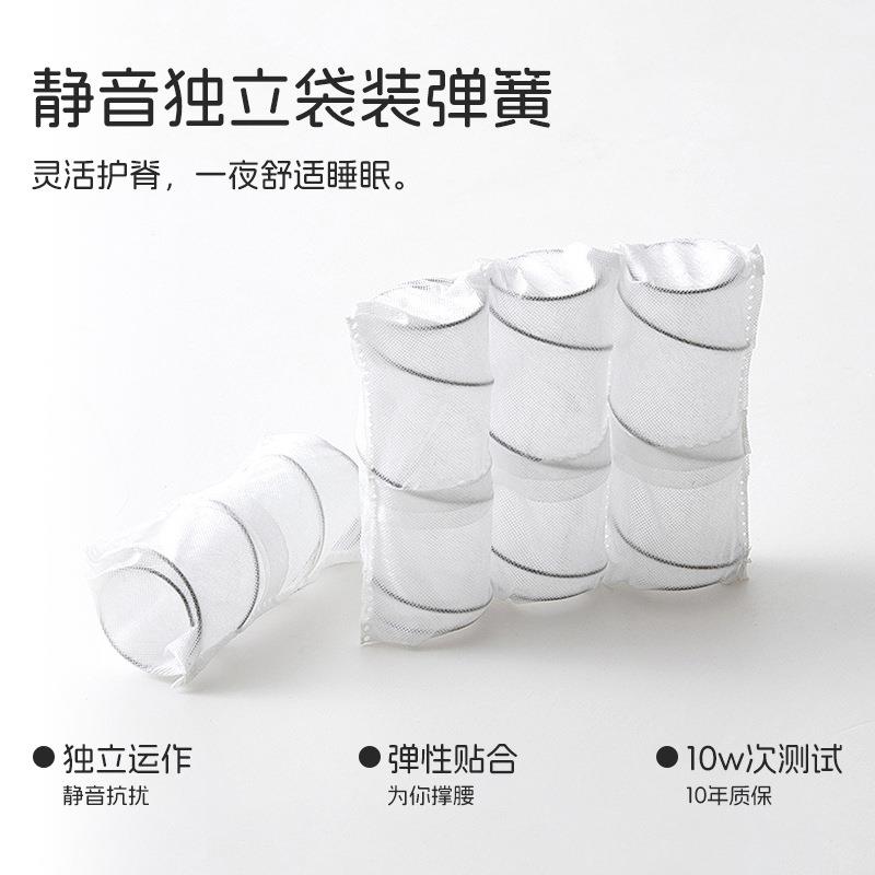 蓝蓓斯床垫席梦思主卧高弹护脊海棉床垫五星酒店家用卧室弹簧床垫