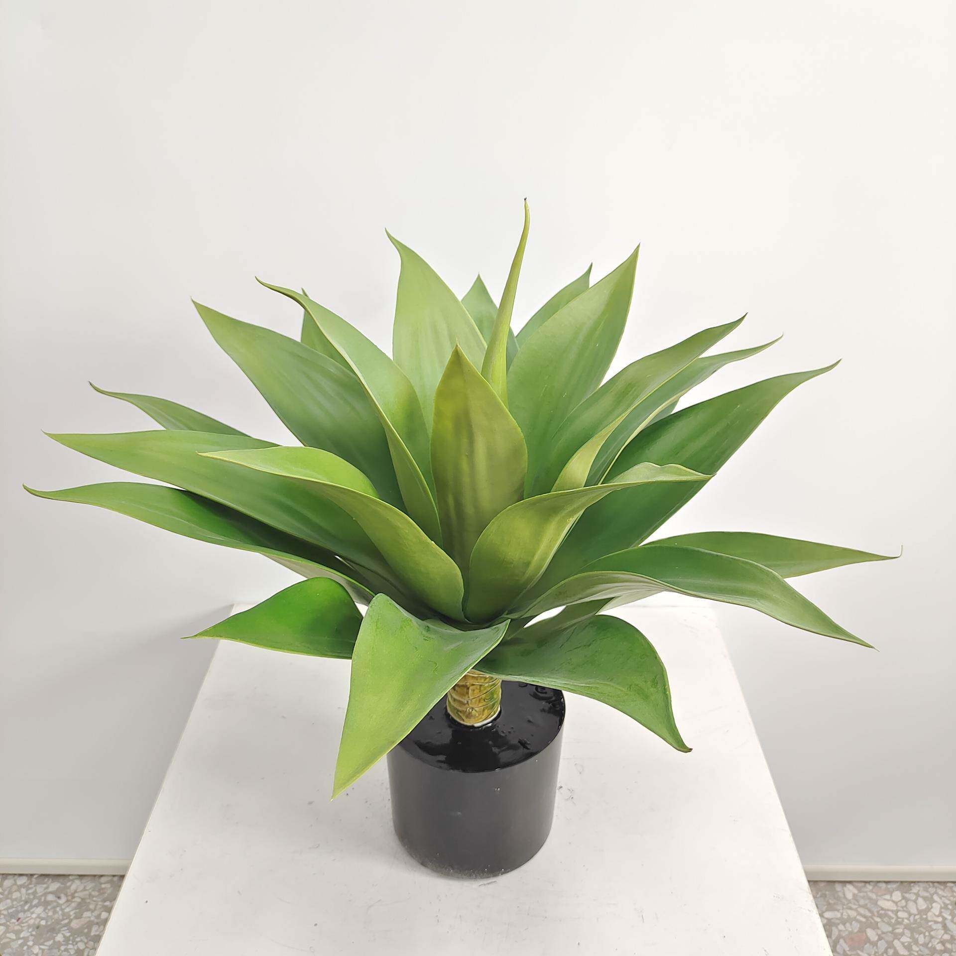 盆仿居真栽CQ0029家软装绿植落地饰品件龙舌兰剑兰现货仿真绿摆植
