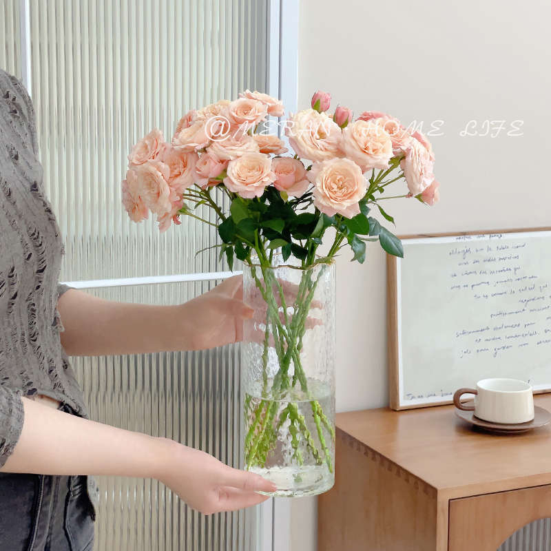 轻奢网红冷文描金玻璃花瓶透明水养鲜花玫瑰百合餐桌客厅插花摆件