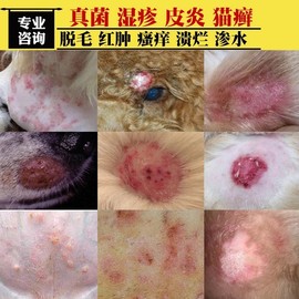 治疗狗狗真菌皮肤病外用药膏湿疹性皮炎瘙痒脱皮螨虫感染猫癣止痒