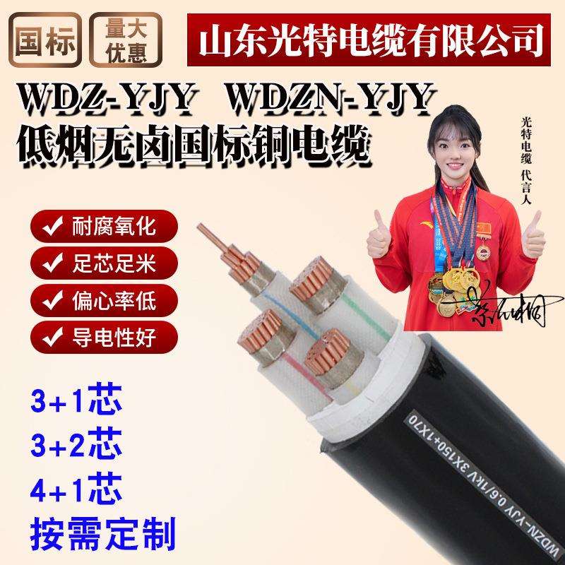 WDZN-YJY低烟无卤耐火国标铜芯电缆线4+1*95/300/240平方铜线150