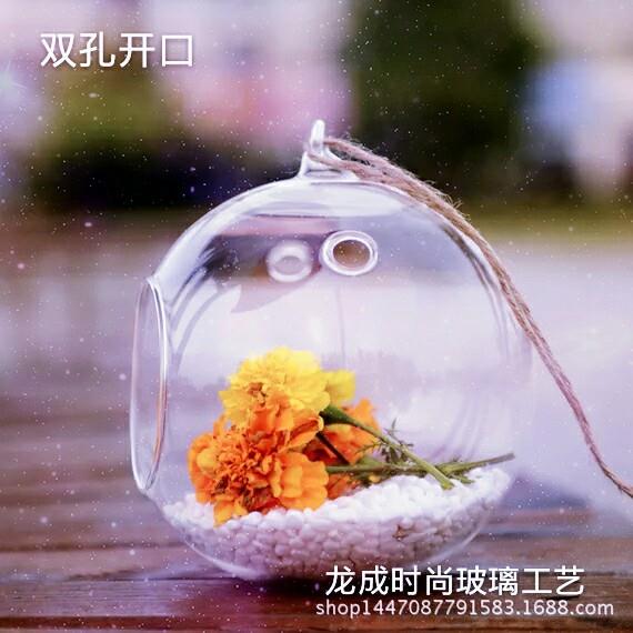 双孔玻璃圆球花微景观生态园艺挂件饰品 多肉植物苔藓花