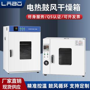 电热恒温鼓风干燥箱药材烘干机小型高温工业用烤箱商用医院实验室