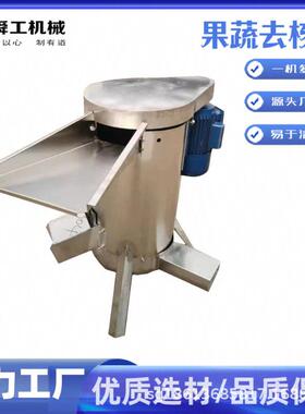 工业型商用水果去核机 芒果滇橄榄木瓜不锈钢脱核机 快速去核打泥
