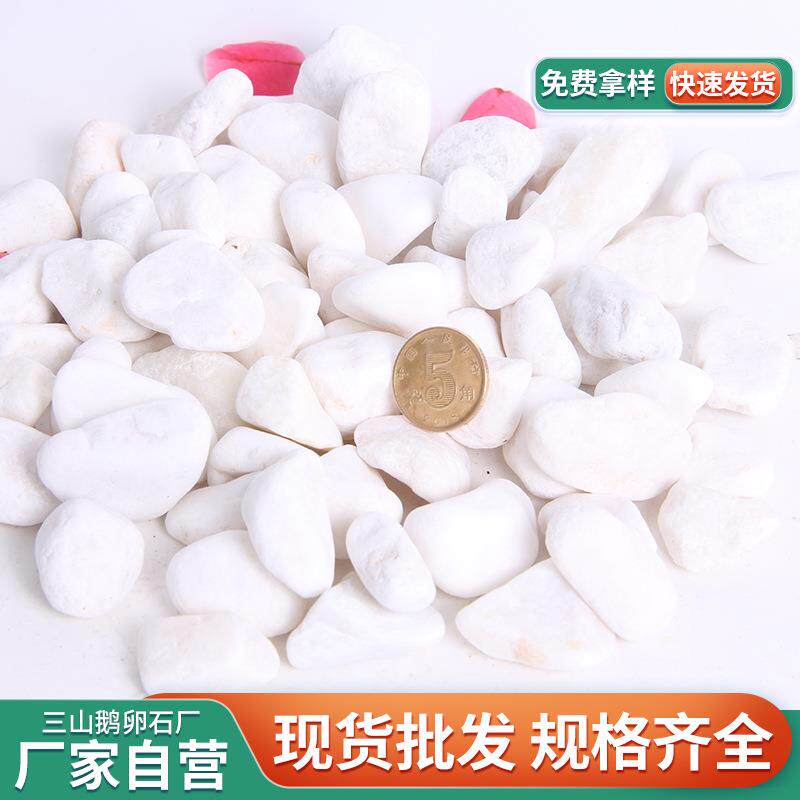 白色鹅卵石 厂家直销雪花白雨花石子 园林景观鱼缸垫底机制碎石头