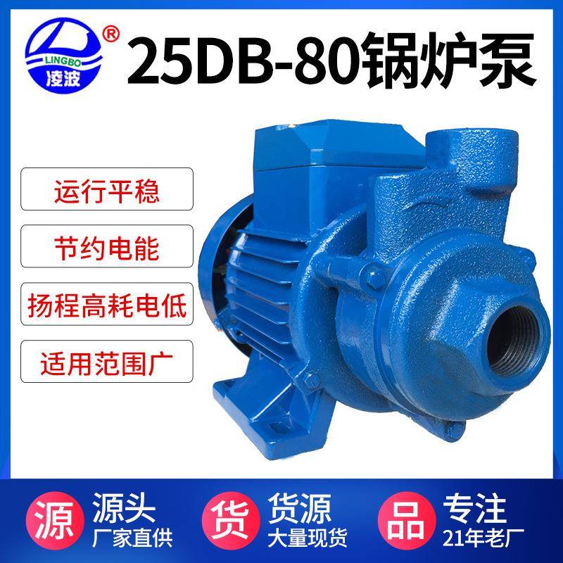阳春凌波牌25DB-80小型蒸汽发生器供水泵清水增压泵