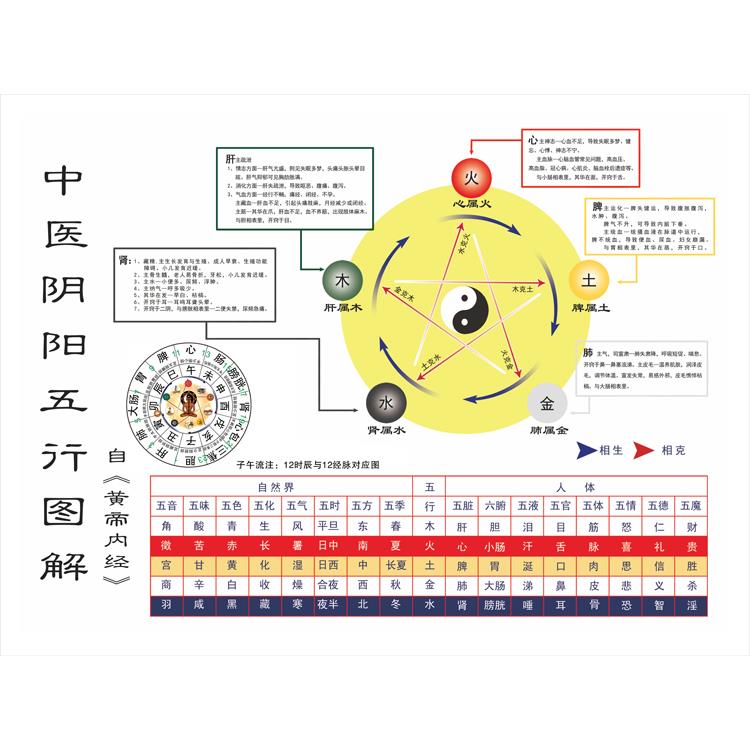 现代装饰画中医阴阳五行图解中医五行周易易经五行生克子午流注