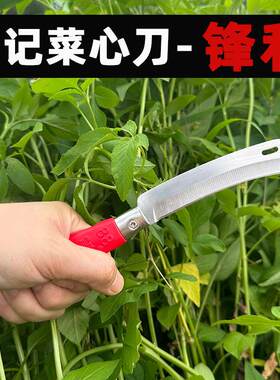 曾记菜心刀农用菜场专用割叶菜加长弯型刀蔬菜青菜香蕉水果采摘刀