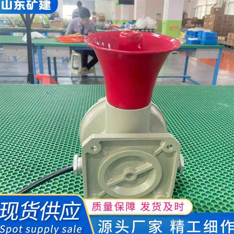现货销售防爆声光报警器 LED声光信号灯36/220/380V 声光报警器