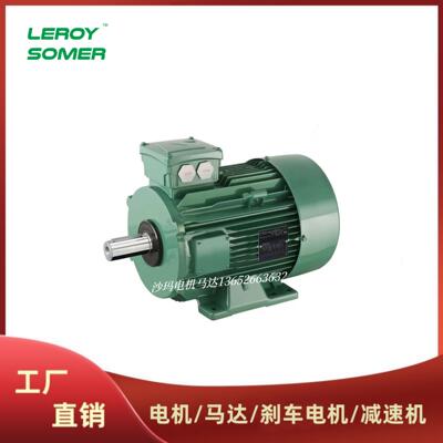 法国LEROY-SOMER电机马达LS LSES系列63 71 80 90 100 112M~200L
