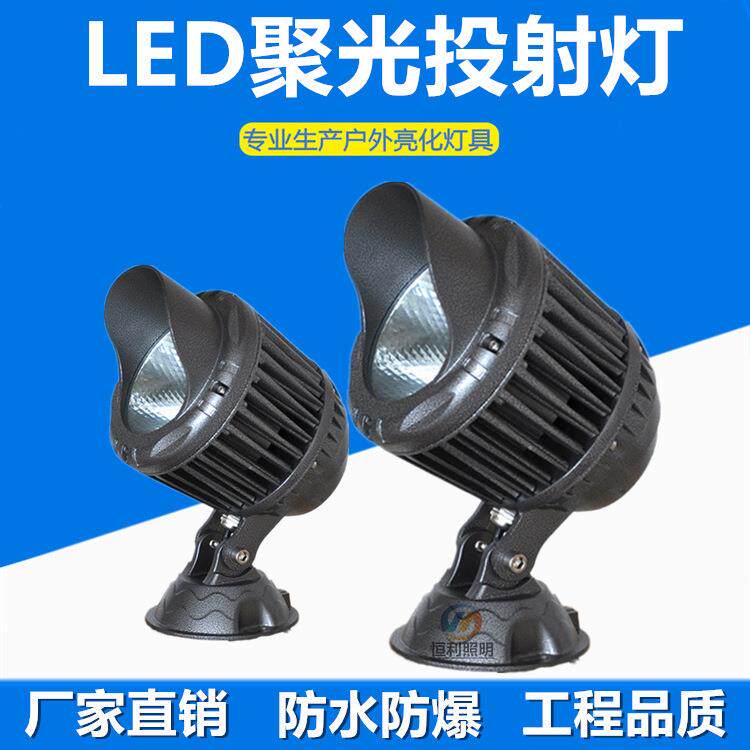 50W户外防水LED投射灯室外聚光远射灯公园园林射灯照树景观照明灯