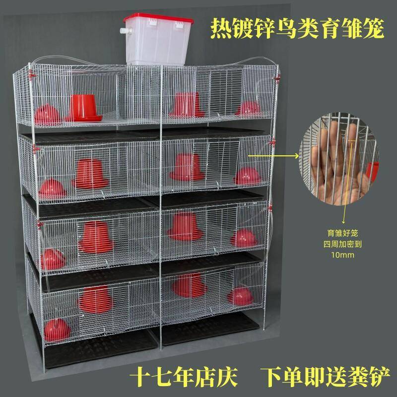 新品鹌鹑鹧鸪鹦鹉芦丁鸡育雏笼热镀锌高防锈豚鼠养殖笼保温网箱笼