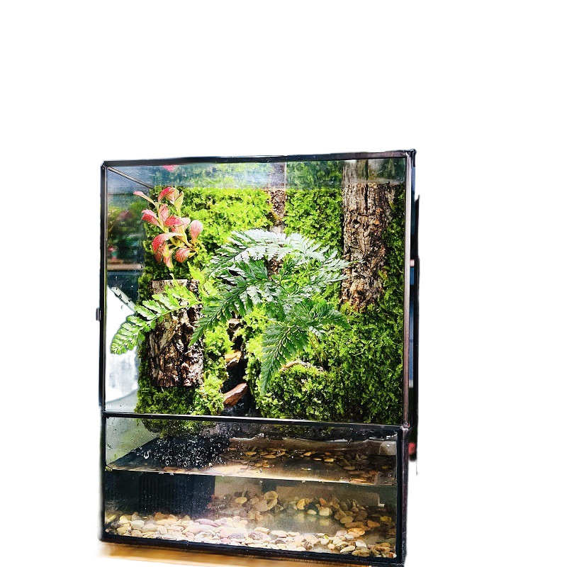 p9j创意造景雨林缸生态流水养鱼微景观桌面摆件鱼缸小型家用