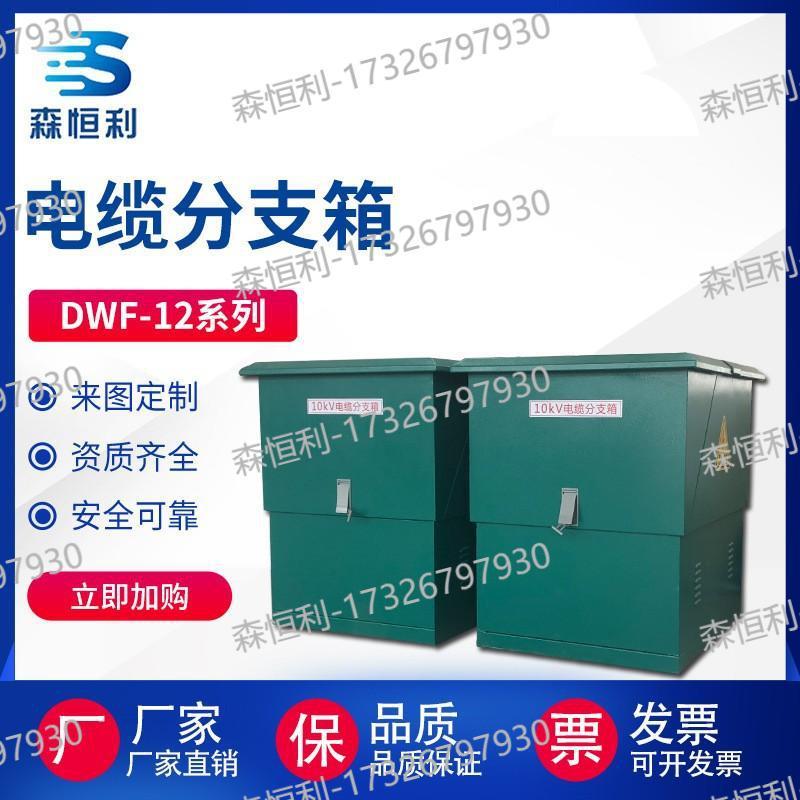 电缆分支箱双开门高压欧式10kv不锈钢户外分接箱铁DFW-12系列