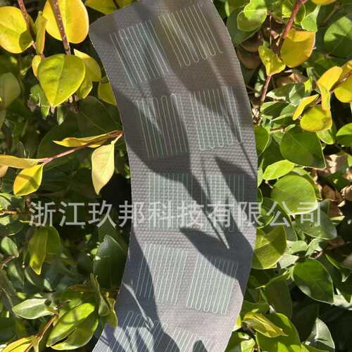 CIGS户外1.9W柔性扇形台灯太阳能电池板 5.2V可卷绕光伏发电组件
