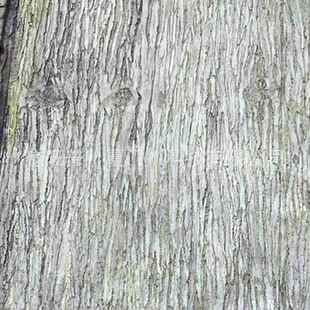 真手柳树皮树杉树皮松防暗火WPS-4防虫仿防潮工厂一货源盆景