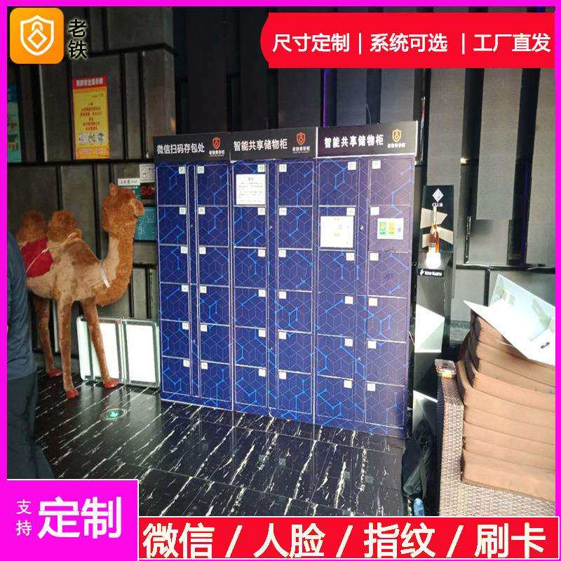 福州智能自编密码寄存柜/存包柜/储物柜/12/24/48门组合电子联网