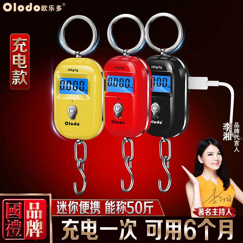 迷你弹簧充电手提电子秤kg秤可携式小型高精度50斤快递称买 菜小