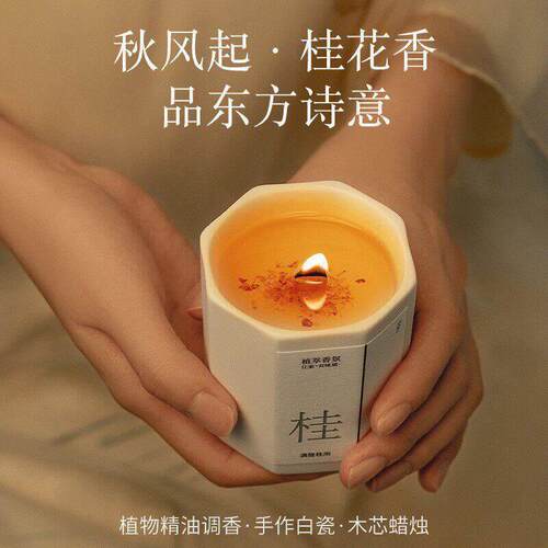 香薰蜡烛室内家用持久高级礼盒装植物新款香薰木芯香氛高级伴手礼