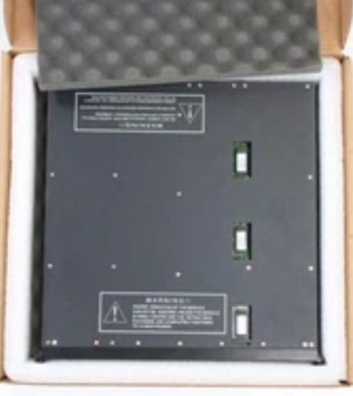 Triconex 3701 模拟输入模块 #2