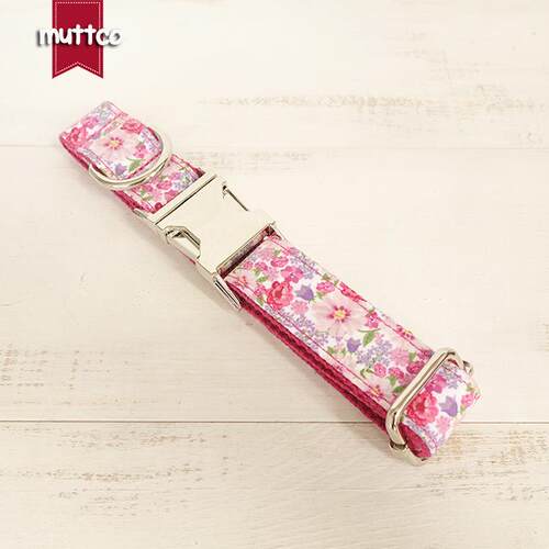 muttco新品宠物花狗圈 金属项圈 母狗宠物狗圈宠物用品 外贸新款