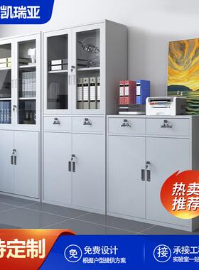 全钢制实验室器皿柜学校仪器样品存储柜加厚药品柜pp酸碱柜文件柜