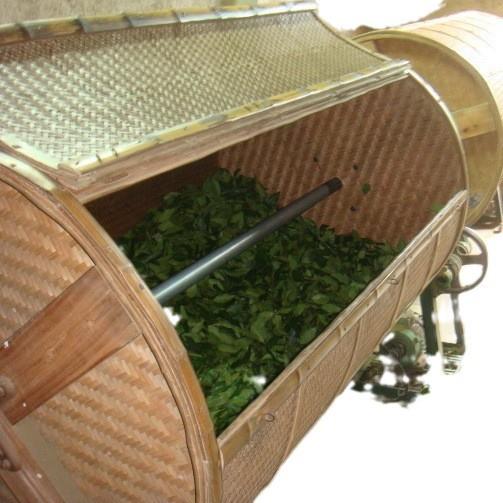 配2.5米竹笼减速摇青机茶叶机械加工设备食品机械制茶好帮手