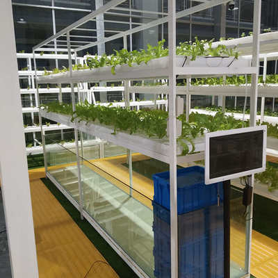 无土栽培水培水耕设备家庭智能种菜机温室大棚水床建设定制订做