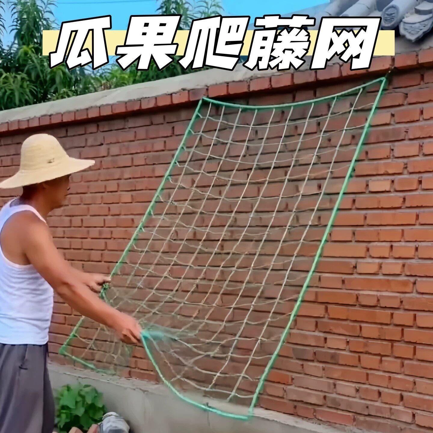 爬藤网植物攀爬网加粗蔬菜菜园西瓜吊瓜网丝瓜豆角黄瓜百香果网格