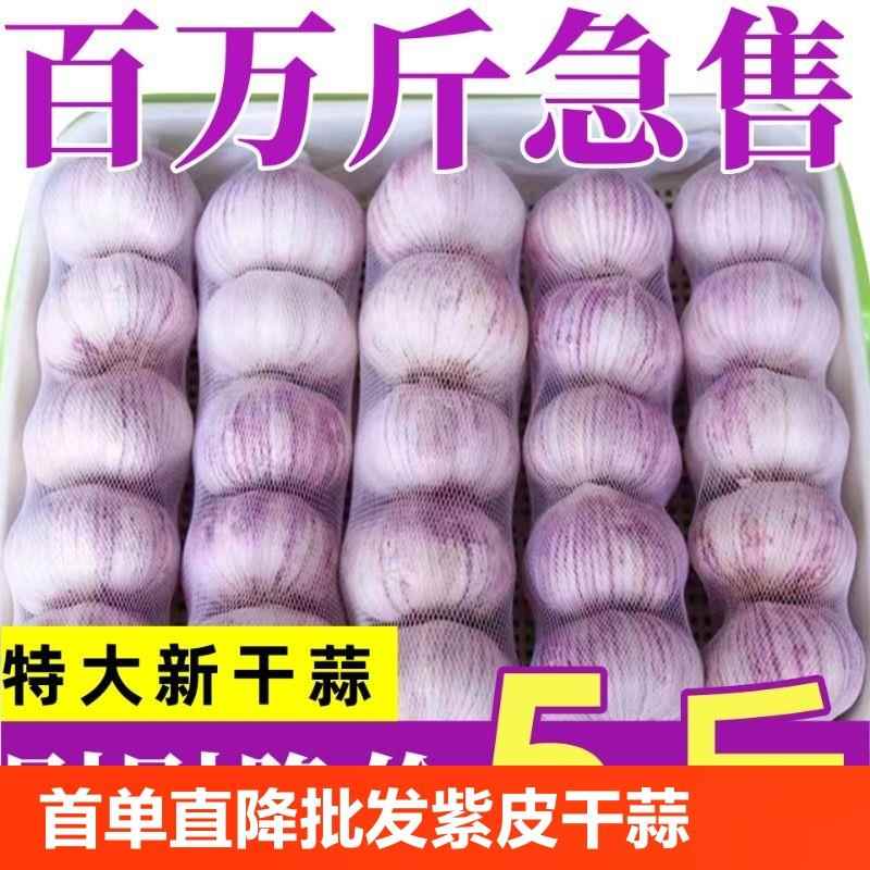 【超低价】干蒜5斤紫白皮大蒜头山东金乡干大蒜干蒜头种籽白皮非