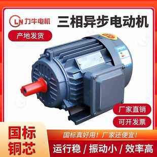 减速配套电机 卧式 现货供应 电机YE2系列三相异步电动机立式