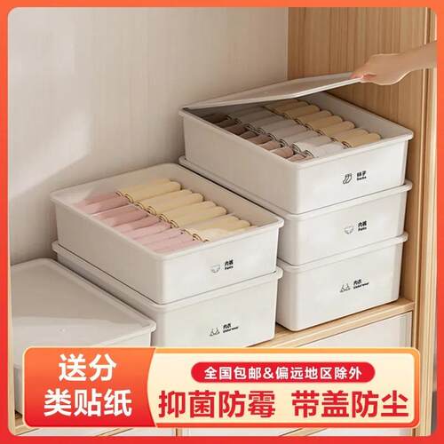 Plastic Underwear Storage Box for Organizing Underpants and