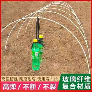 小拱棚支架拱杆竿大棚内棚套棚骨架玻璃纤维杆园艺家用保温