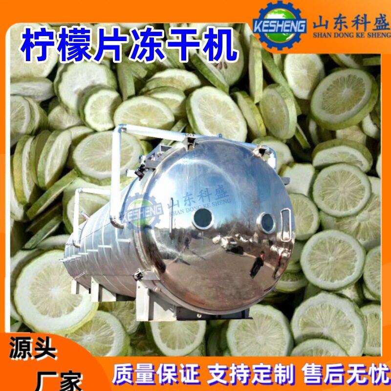 冻干柠檬片甜橙片冻干机枸杞锁鲜冻干机苹果片真空冷冻干燥机
