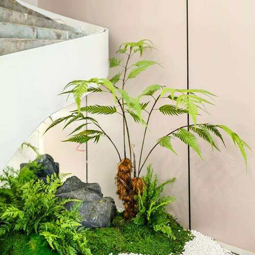 绿植造景金丝猴头蕨树植物室内假树装饰摆件盆栽出口品质仿真蕨类