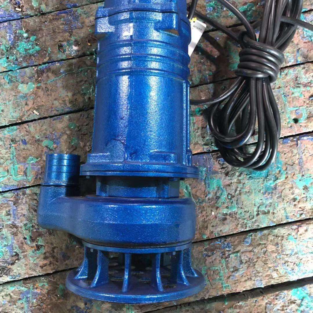 雨沃铜芯线750W排污泵小型家用农用2寸潜水泵污水泵抽水机