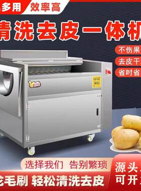 全自动毛刷土豆清洗去皮机商用红薯萝卜莲藕生姜蚝猪蹄清洗脱皮机