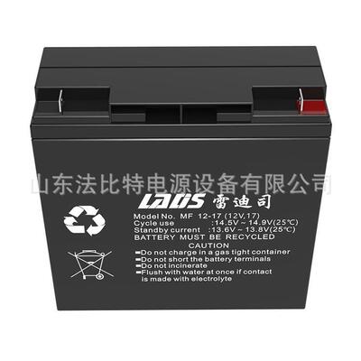 雷迪司电池MF12-24风能发电12v24ah直流屏EPS 雷迪司电池MF12-24