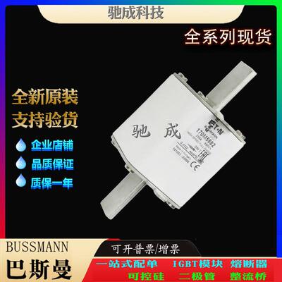 巴斯曼170M5882 170M5883 170M5884 加工制作销售 原装熔断器