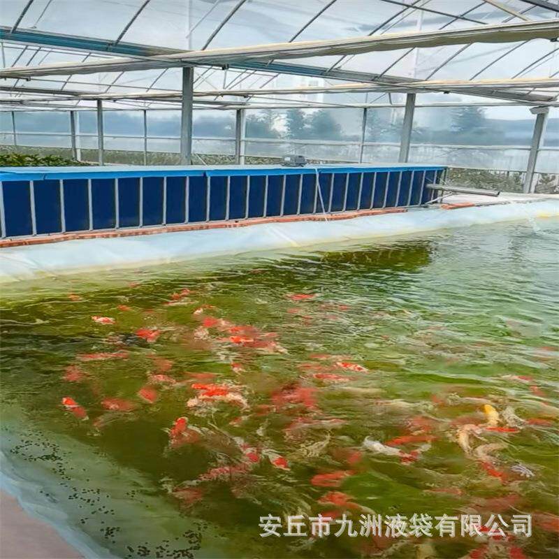 锦鲤养殖池 锦鲤暂养帆布池 镀锌管支架水池 刀刮布帆布鱼池