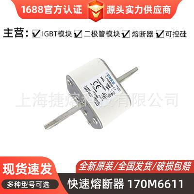 170M6611 170M6616 快速熔断器 保险丝 电子元器件 量大价优