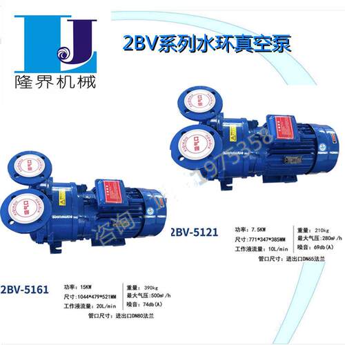 不锈钢叶轮2BV水环真空泵带水箱防爆易安装高真抽空度循环泵水泵