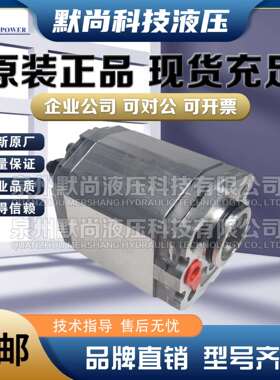 锐力油泵REXPOWER齿轮泵RGP-F002/003/004/005/008/010/013液压泵