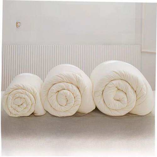 Sofe Comforter Duvet Blanket Air Condition Quilt Summer 夏被