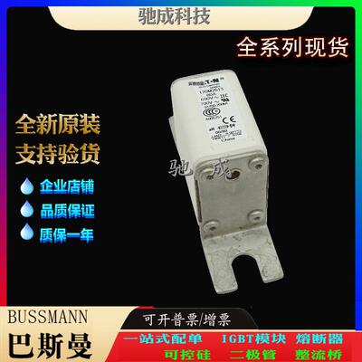 巴斯曼170M2613 170M2614 170M2615 现货直销厂价销售 高速熔断器